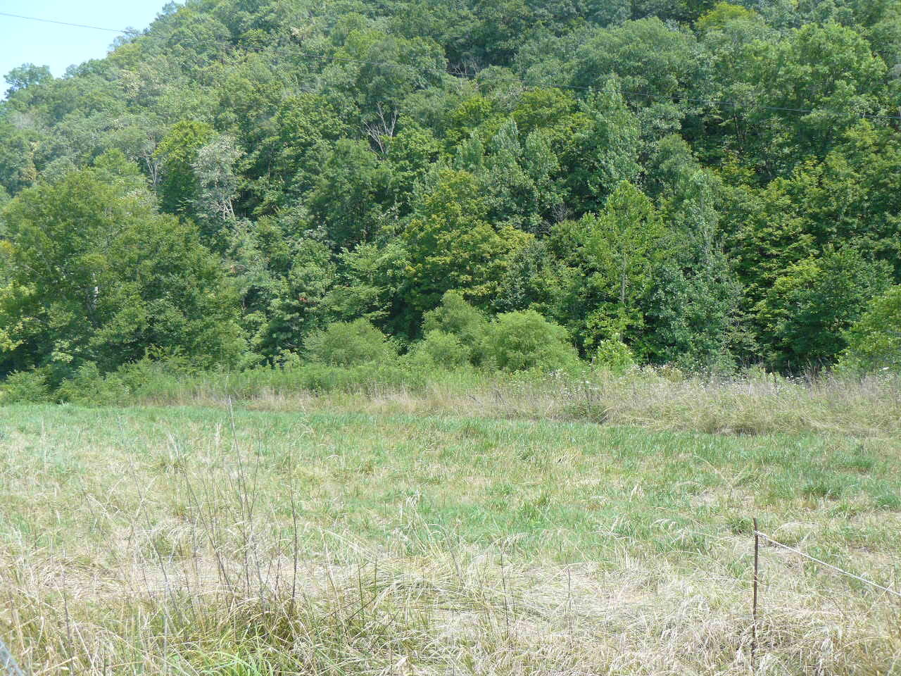 1090 Upper Caney Valley Road Tazewell, TN 37879 - Photo 3 of 6 P1370749