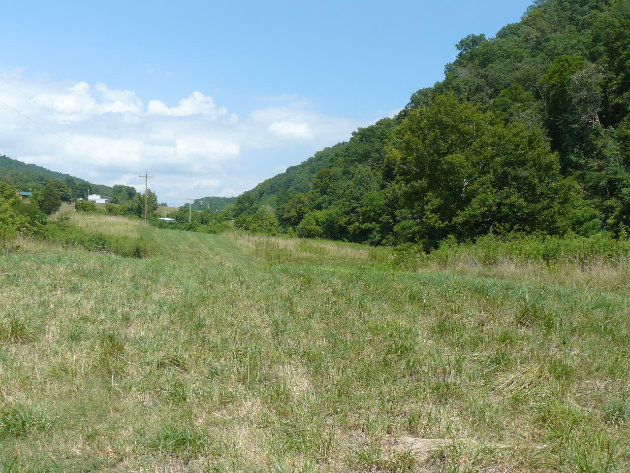 1090 Upper Caney Valley Road Tazewell, TN 37879 - Photo 5 of 6 P1370752
