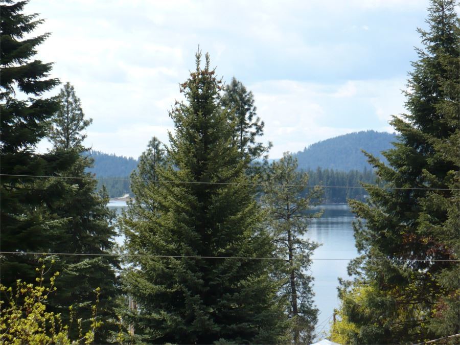 4594 Terrace Road Loon Lake, WA 99148 - Photo 19 of 20 Gallery Image 19