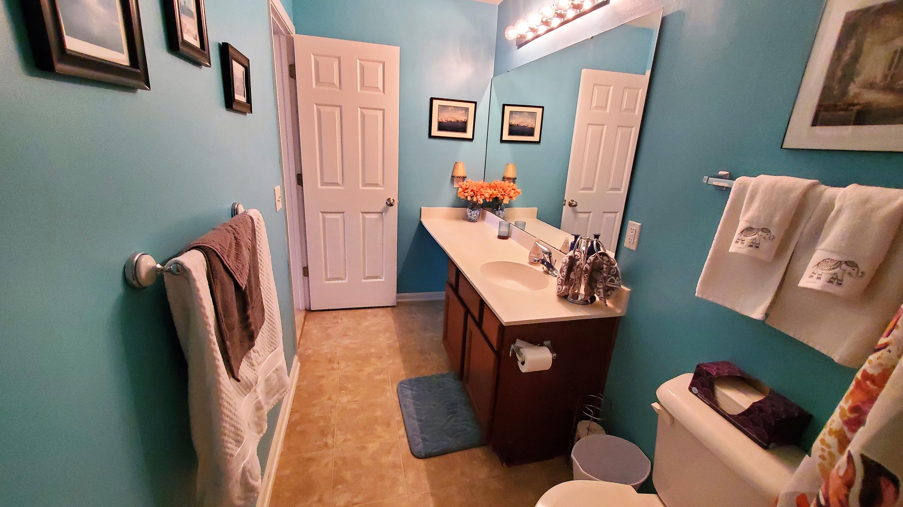 115 Decatur Drive Summerville, SC 29486 - Photo 18 of 40 guest bath