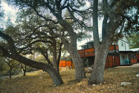 a view of yard covered with trees