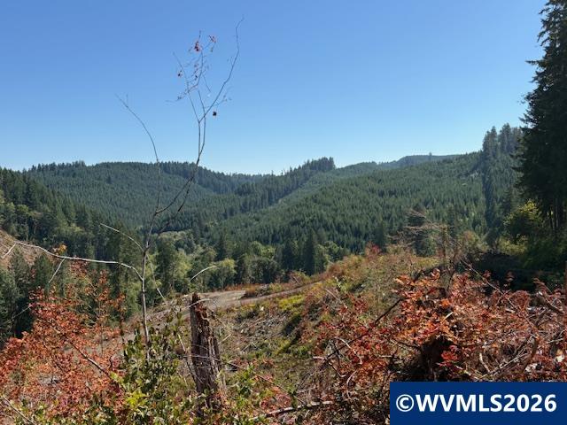 0 Van Horn Road Alsea, OR 97324 - Photo 8 of 16