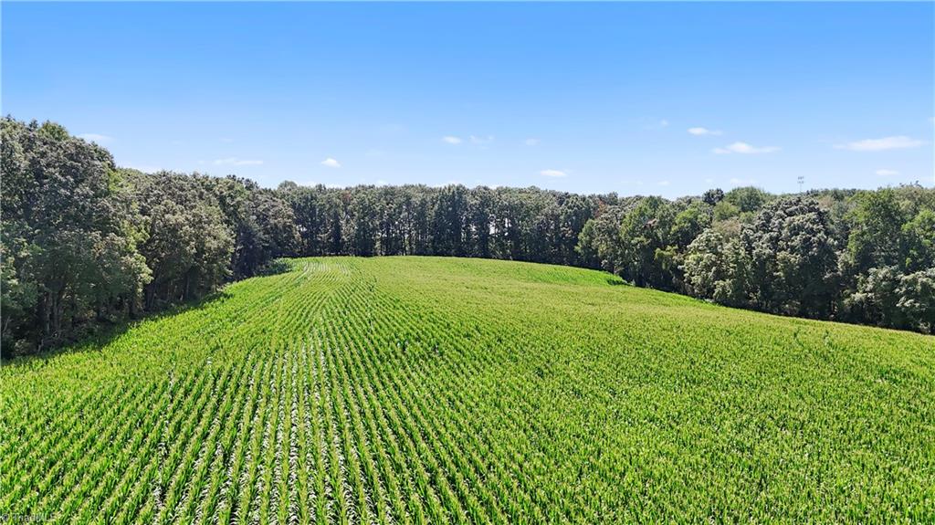Tbd Lot 8 Howards Bridge Road Union Grove, NC 28689 - Photo 10 of 15 Gallery Image 10