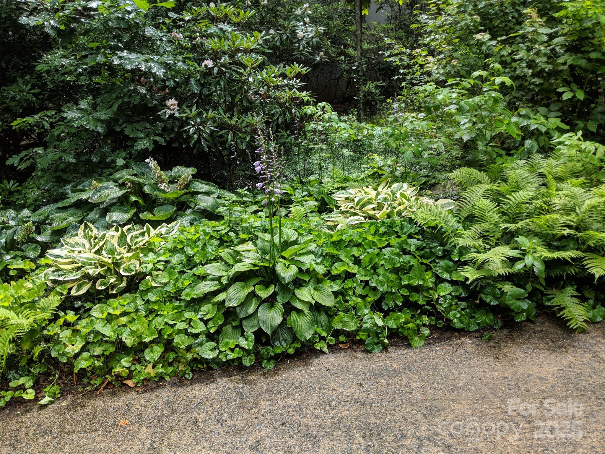 280 Kilgore Road Waynesville, NC 28785 - Photo 37 of 45 a backyard of a house with lots of green space
