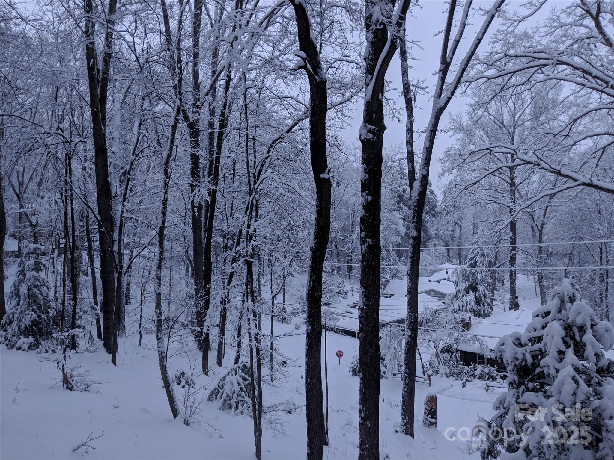 280 Kilgore Road Waynesville, NC 28785 - Photo 43 of 45 a view of a forest with trees