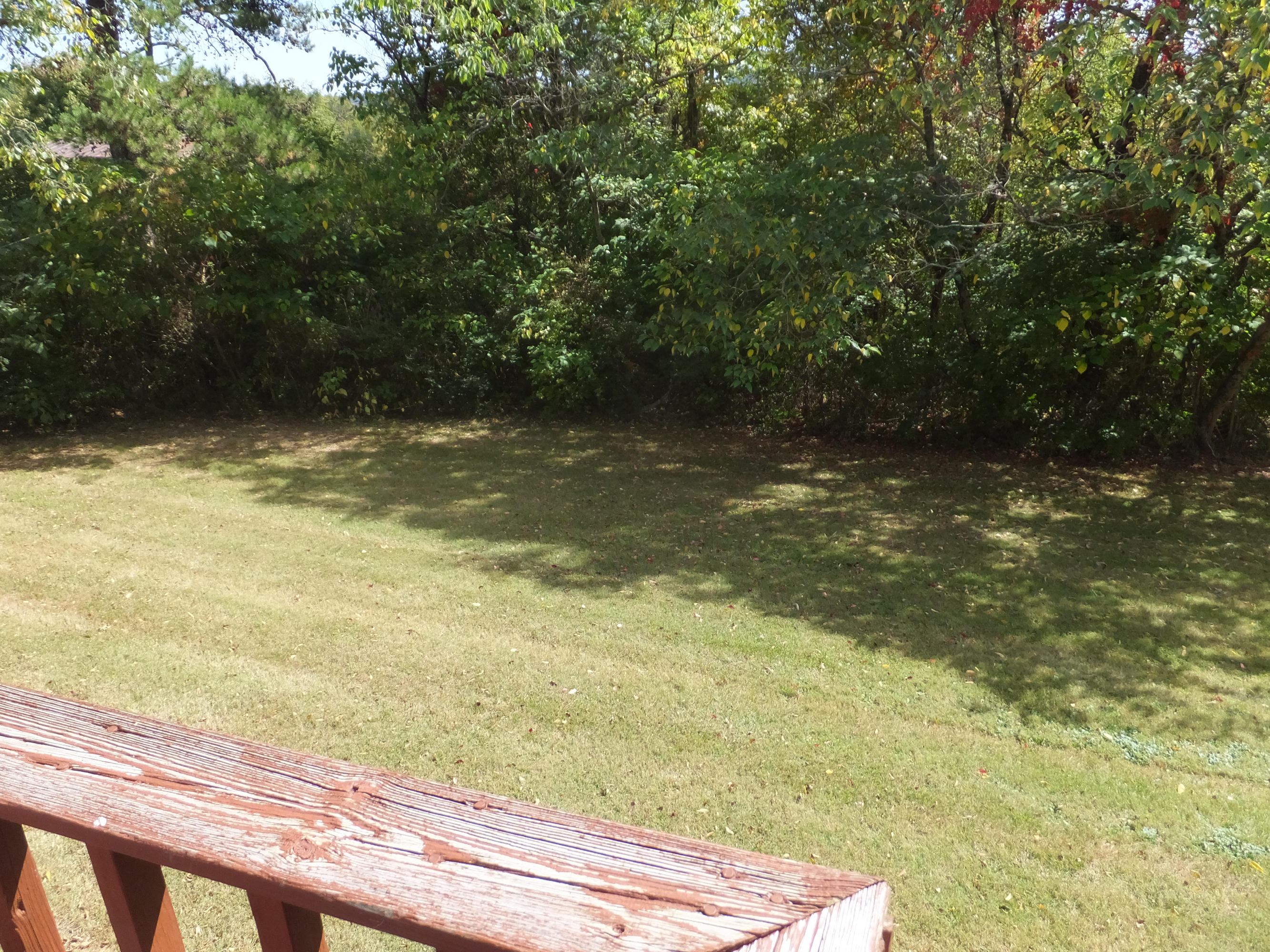 6600 Ridgeview Road Knoxville, TN 37918 - Photo 18 of 32 Private back yard