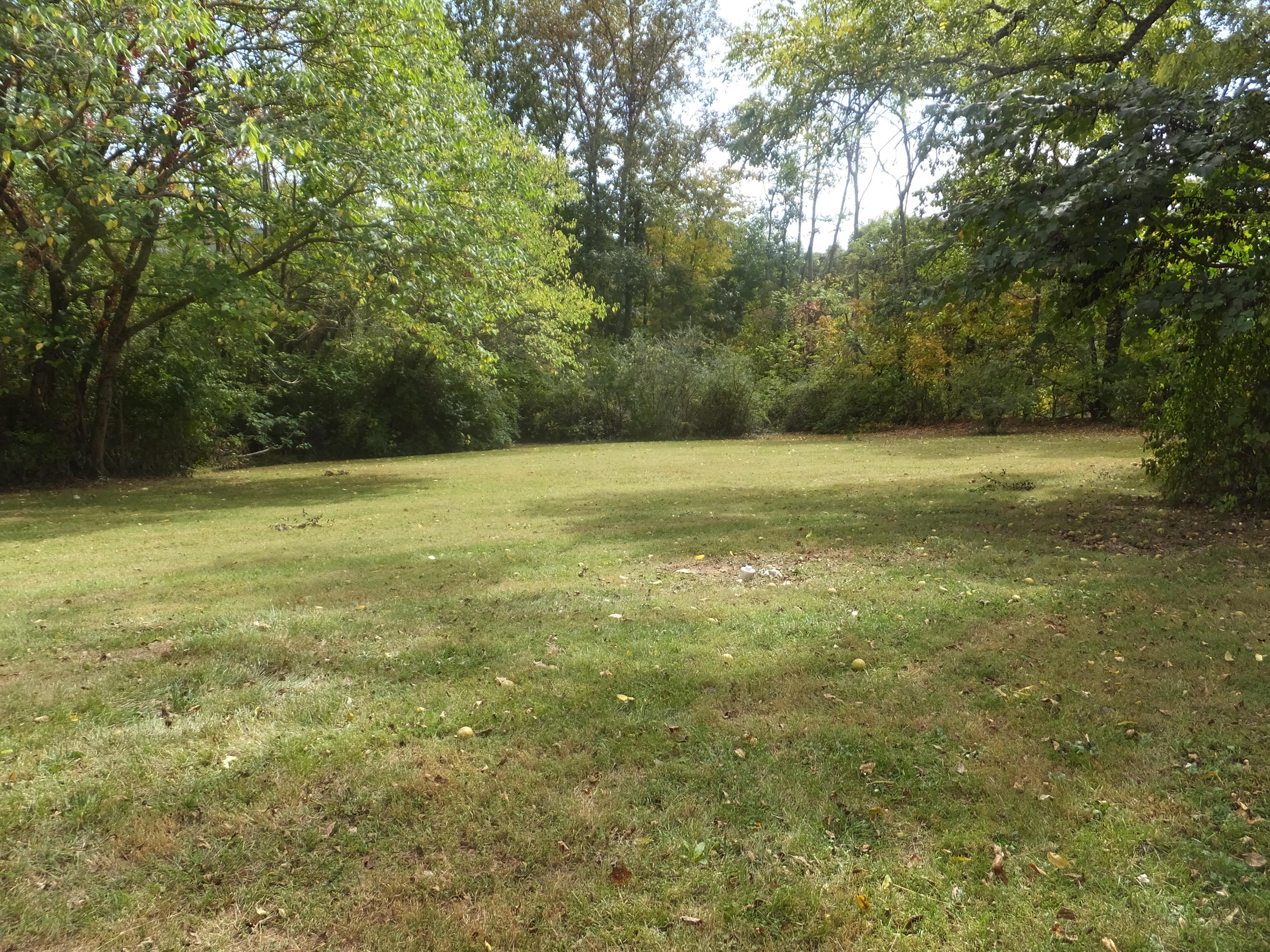 6600 Ridgeview Road Knoxville, TN 37918 - Photo 29 of 32 Backyard