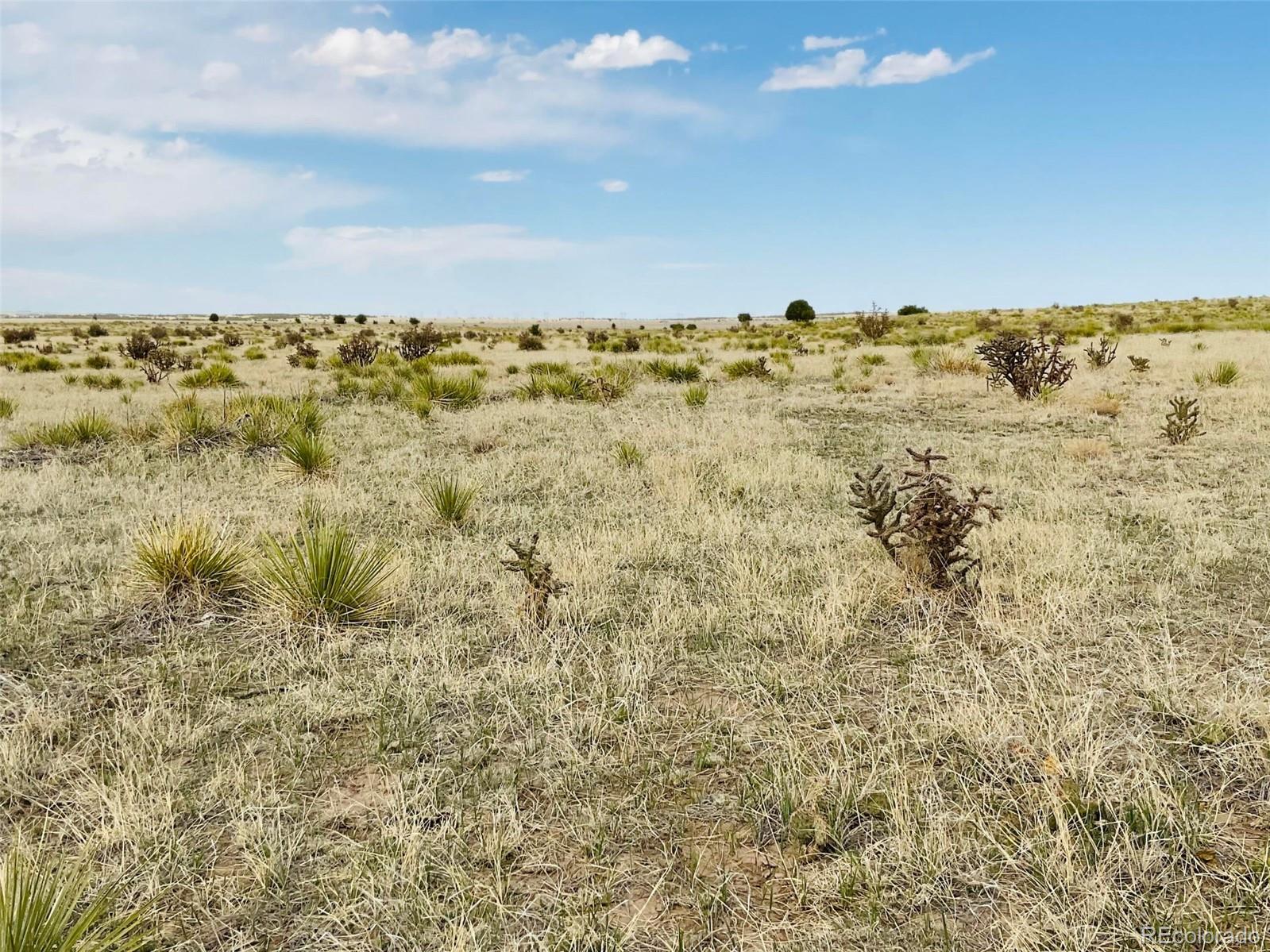 234 Turkey Ridge Ranch Walsenburg, CO 81089 - Photo 11 of 18