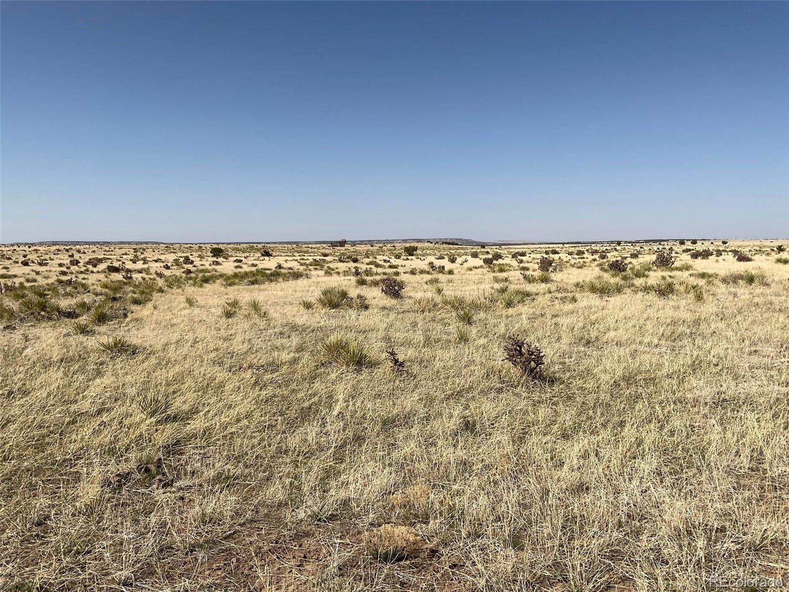 234 Turkey Ridge Ranch Walsenburg, CO 81089 - Photo 12 of 18