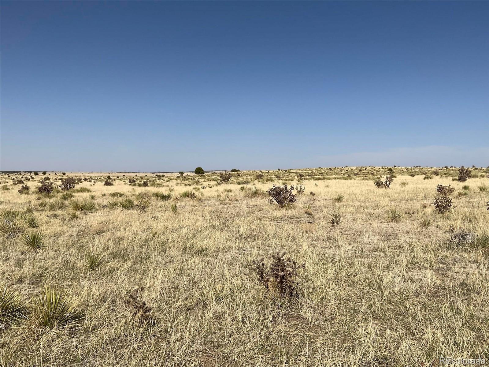 234 Turkey Ridge Ranch Walsenburg, CO 81089 - Photo 16 of 18 a view of empty room