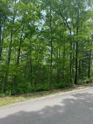 Lot 14 Silvercliff Way Reeds Spring, MO 65737 - Photo 1 of 1 Main