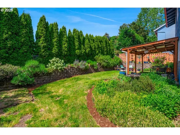 a view of a backyard with plants