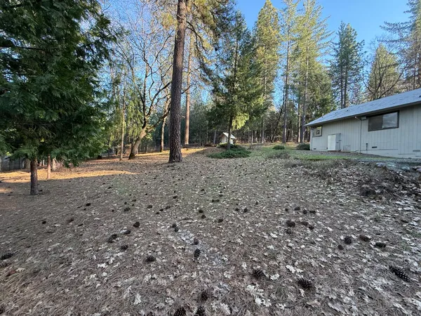 a house view with a backyard space