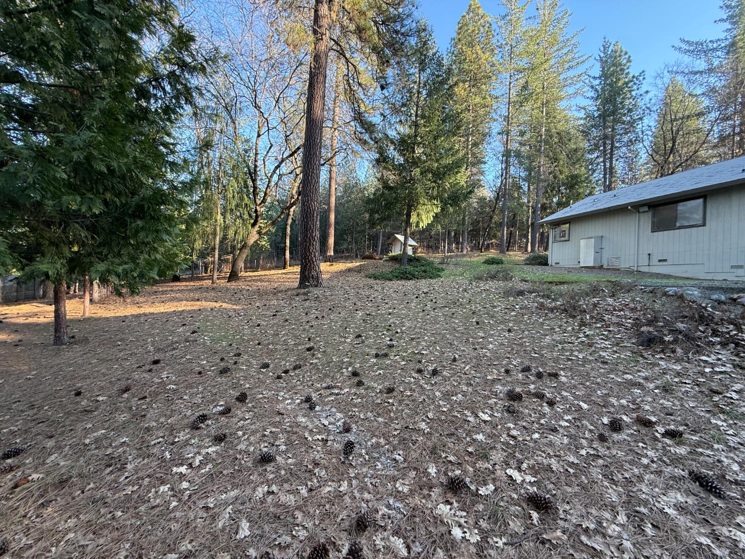 75 Sandy Gulch Lane West Point, CA 95255 - Photo 29 of 39 a view of a out door space area
