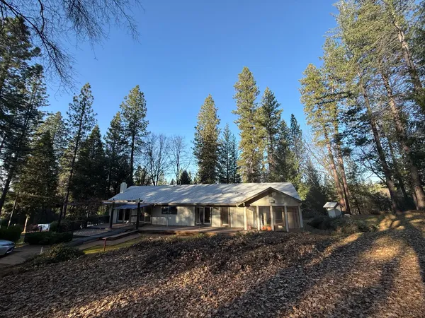 a view of a yard with trees