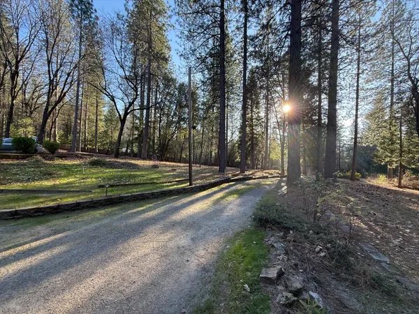 a view of outdoor space with trees