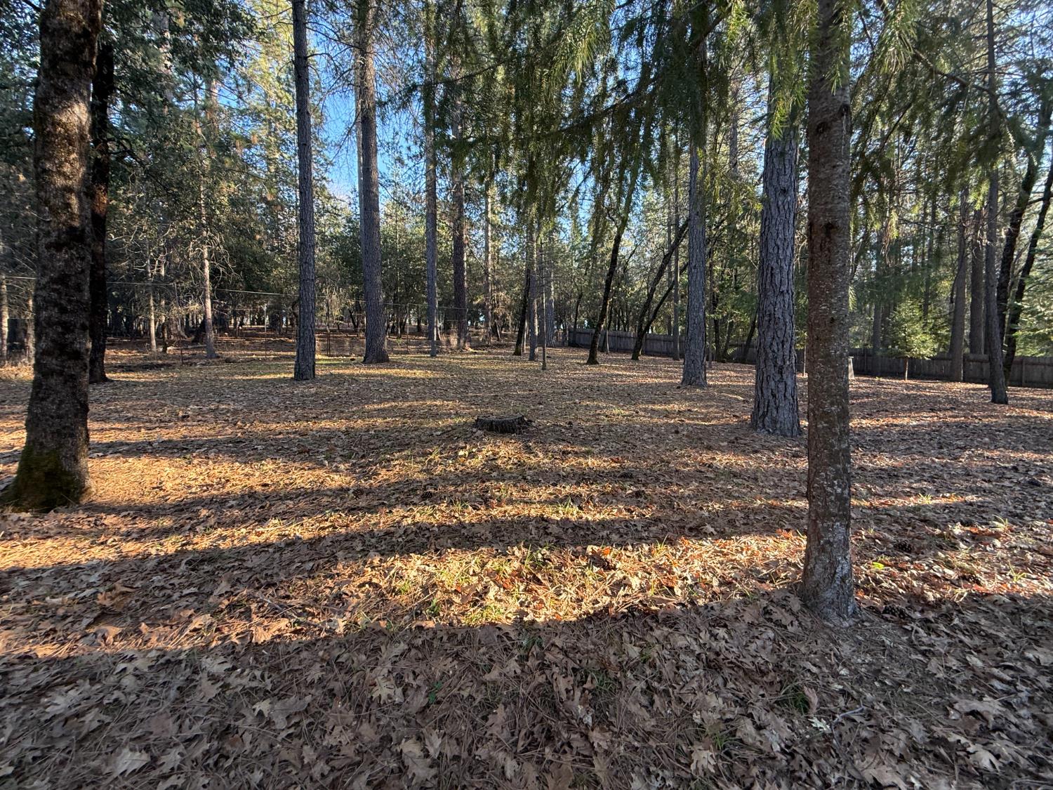 75 Sandy Gulch Lane West Point, CA 95255 - Photo 36 of 39 a view of a yard with trees