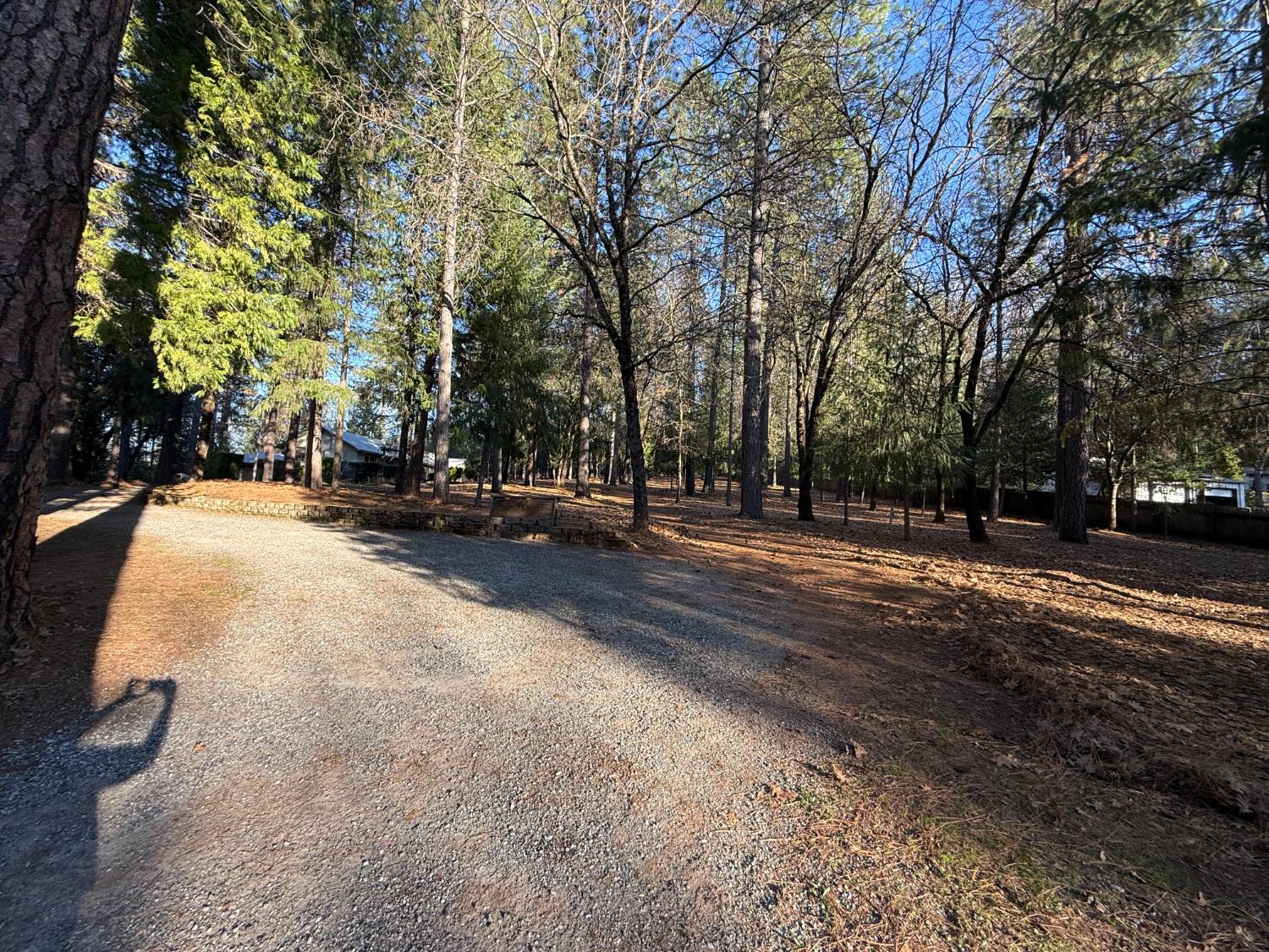 75 Sandy Gulch Lane West Point, CA 95255 - Photo 37 of 39 a view of road with trees