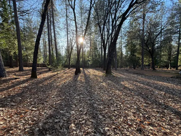 a view of road with trees