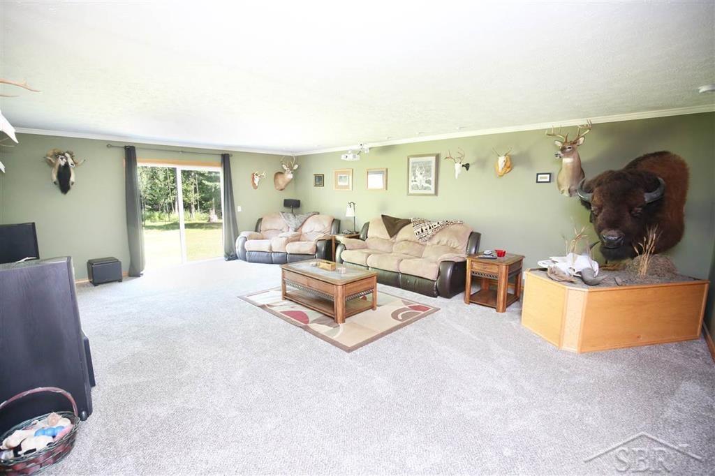 4111 Swinson Road Rhodes, MI 48652 - Photo 4 of 30