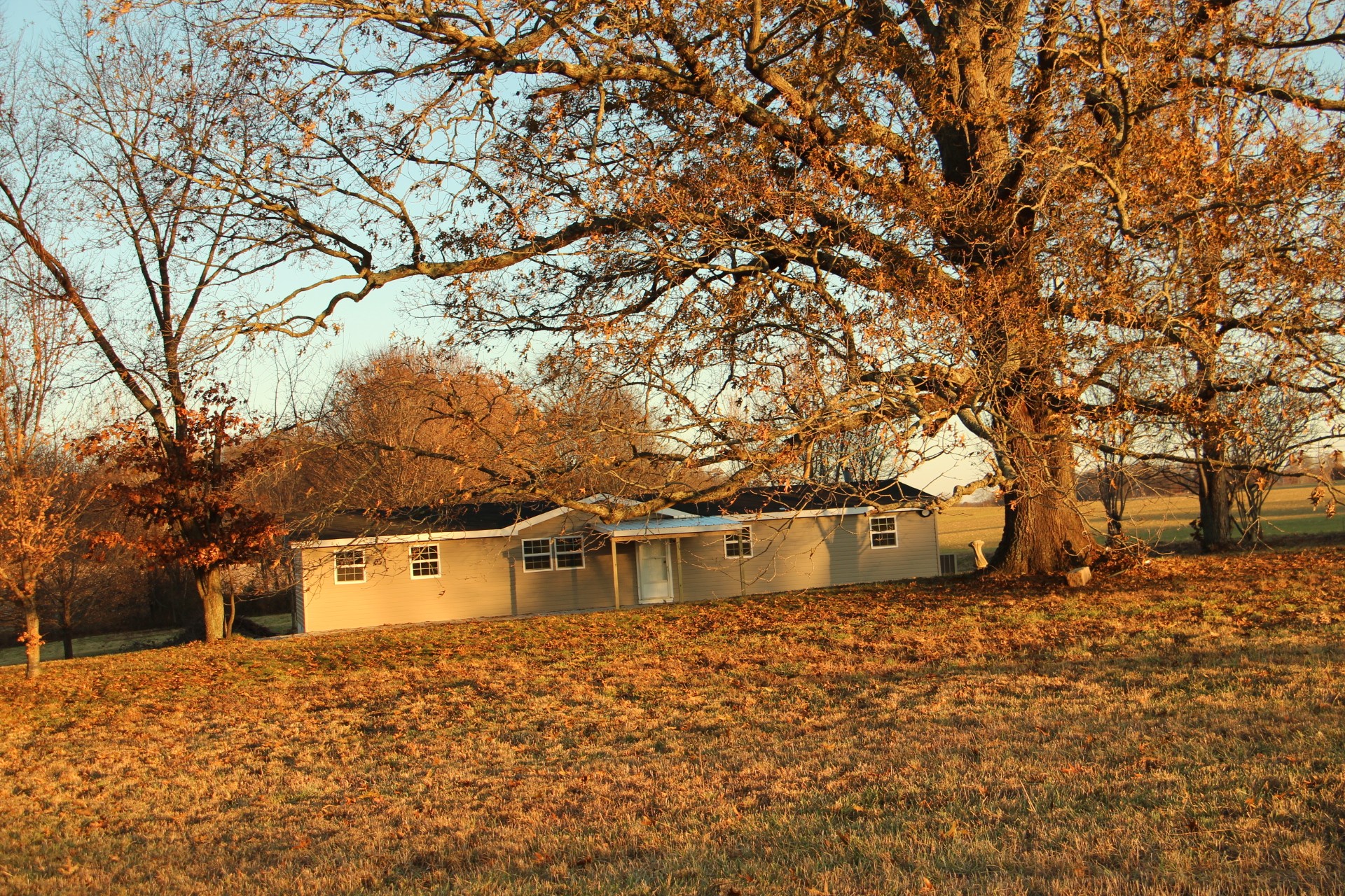 5929 H B Lee Road Springfield, TN 37172 - Photo 2 of 45