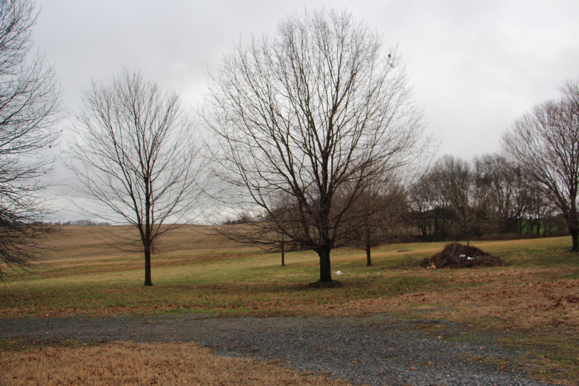 5929 H B Lee Road Springfield, TN 37172 - Photo 44 of 45
