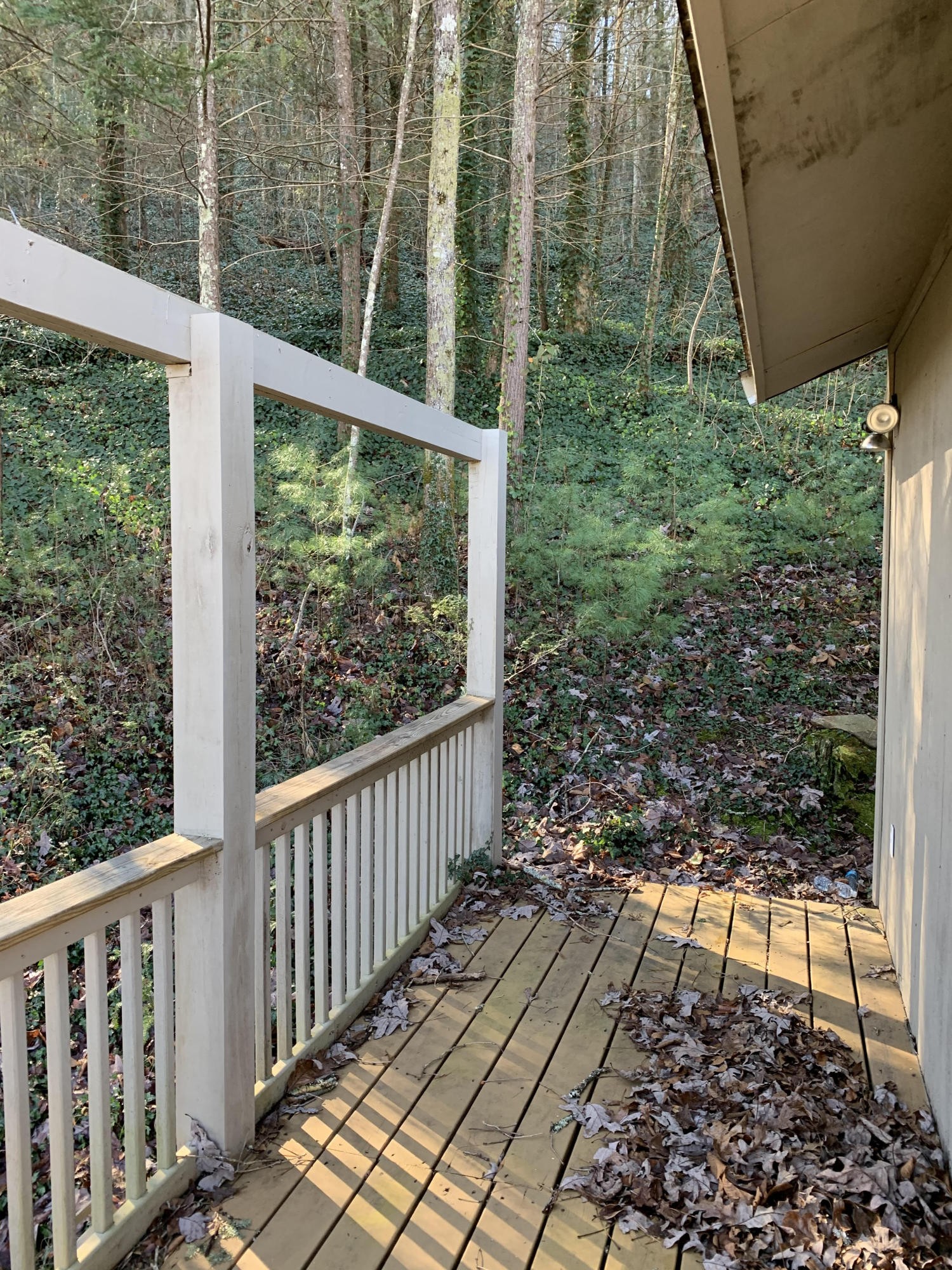 105 Long Branch Road Townsend, TN 37882 - Photo 10 of 11 Gallery Image 10