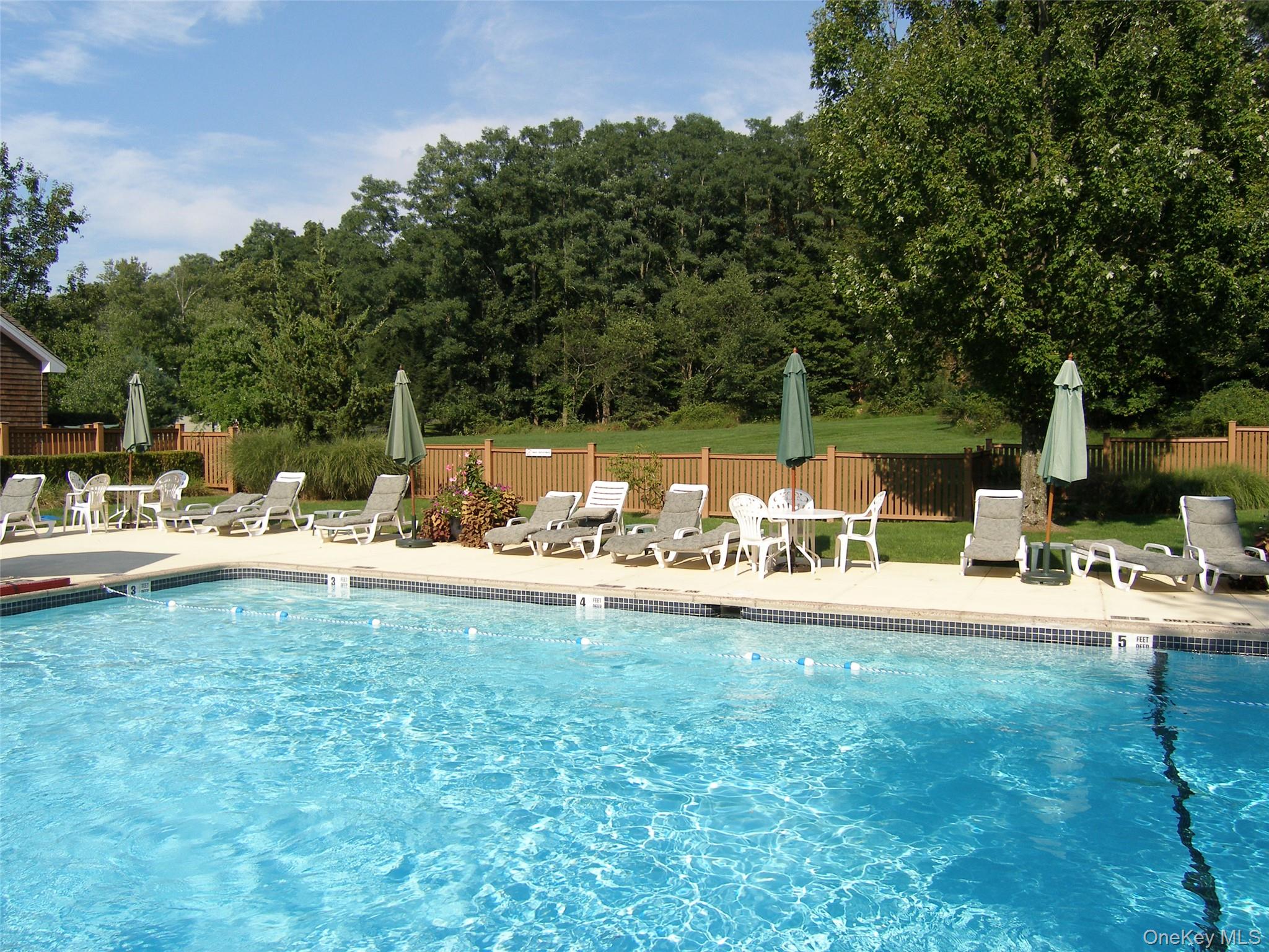 17 Cross River Road Mount Kisco, NY 10549 - Photo 20 of 22 Outdoor Pool