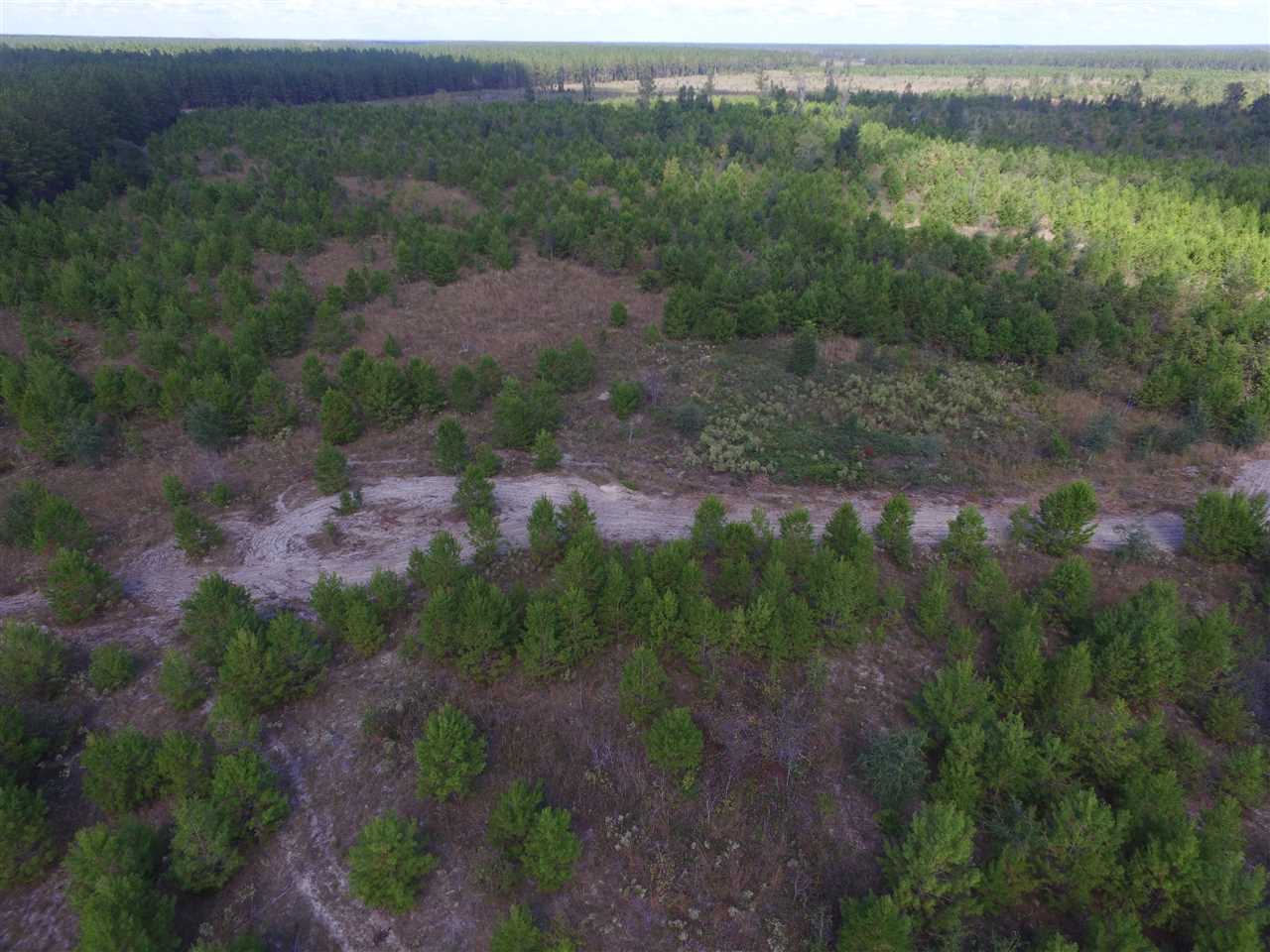 9090 Southeast River Road Lee, FL 32059 - Photo 11 of 17 Gallery Image 11