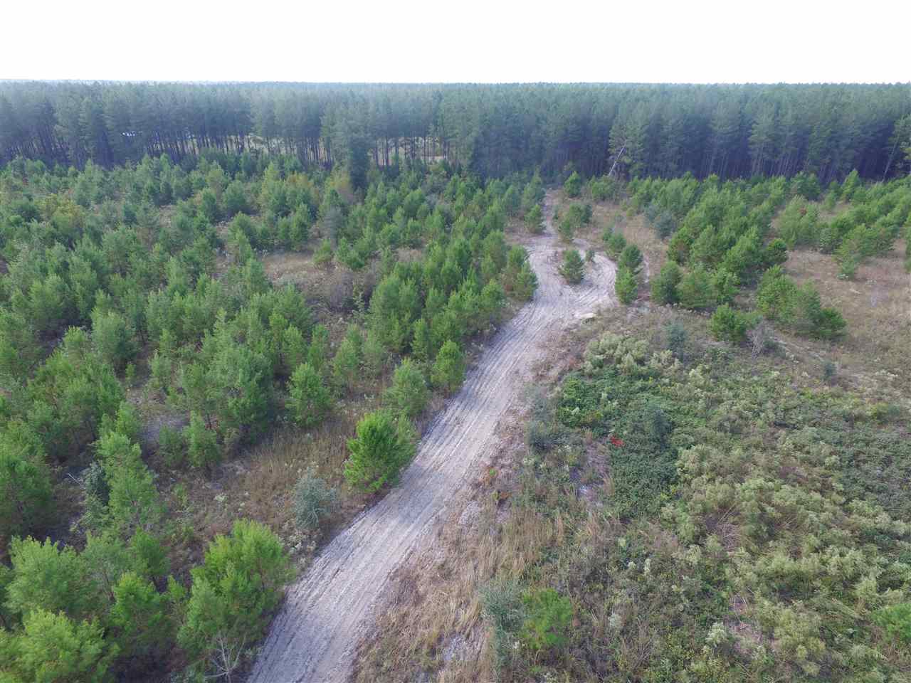 9090 Southeast River Road Lee, FL 32059 - Photo 13 of 17 Gallery Image 13