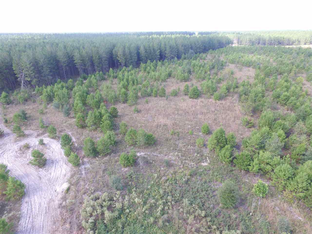 9090 Southeast River Road Lee, FL 32059 - Photo 14 of 17 Gallery Image 14