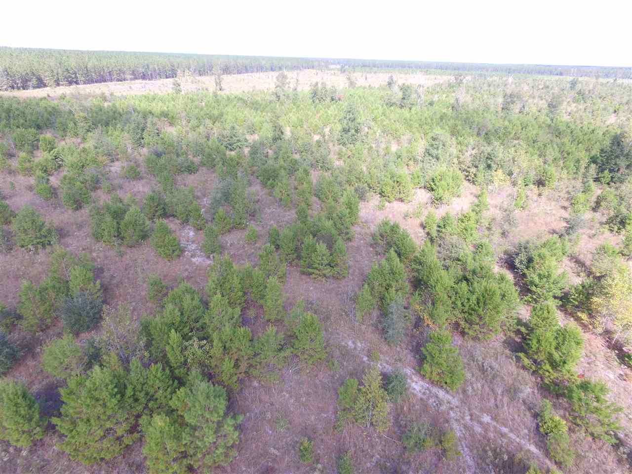 9090 Southeast River Road Lee, FL 32059 - Photo 15 of 17 Gallery Image 15