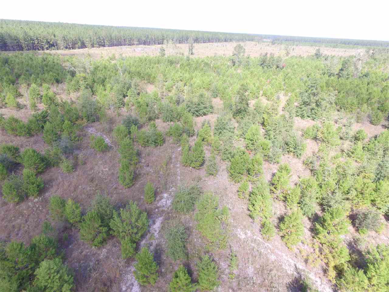 9090 Southeast River Road Lee, FL 32059 - Photo 16 of 17 Gallery Image 16