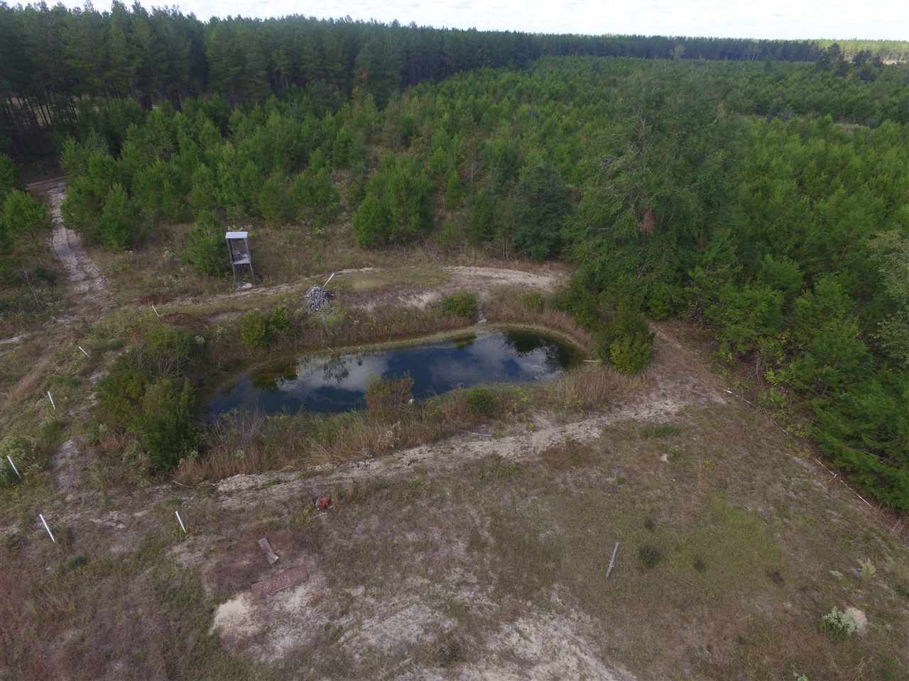 9090 Southeast River Road Lee, FL 32059 - Photo 7 of 17 Gallery Image 7