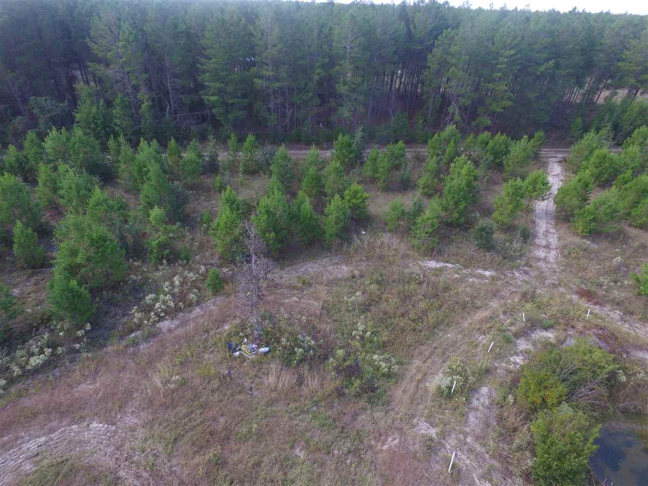 9090 Southeast River Road Lee, FL 32059 - Photo 8 of 17 Gallery Image 8