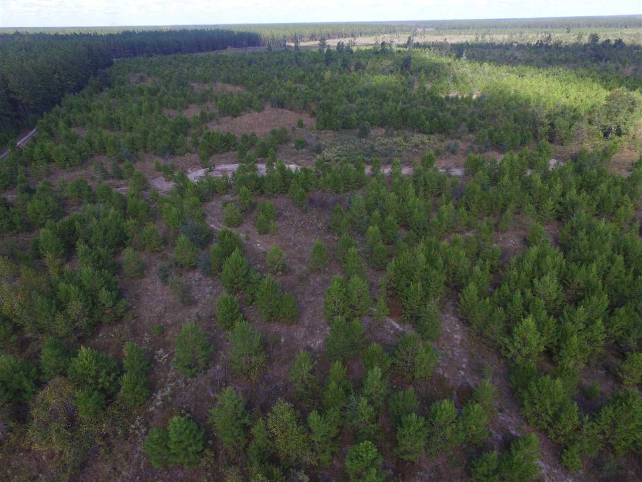 9090 Southeast River Road Lee, FL 32059 - Photo 9 of 17 Gallery Image 9