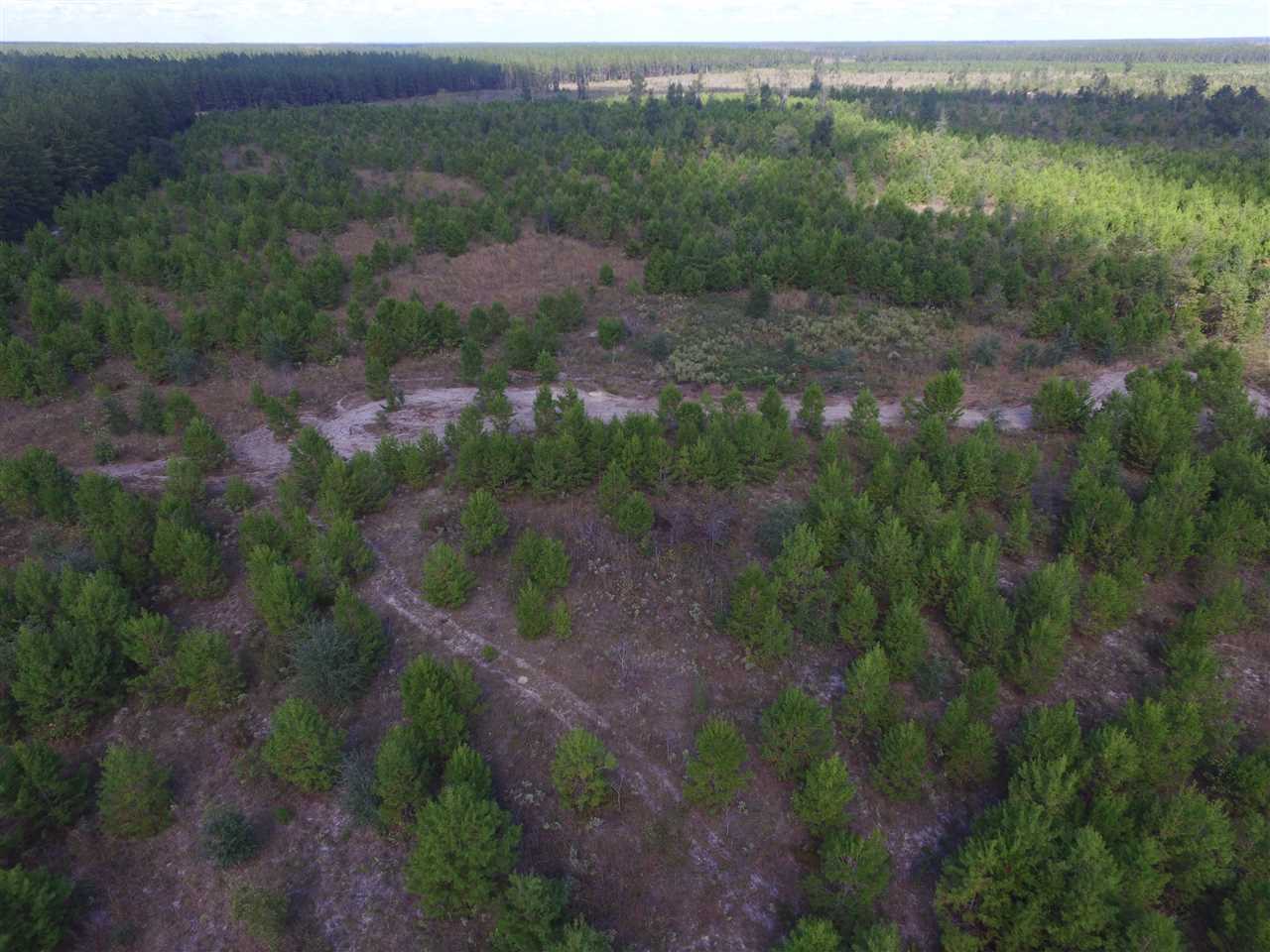 9090 Southeast River Road Lee, FL 32059 - Photo 10 of 17 Gallery Image 10