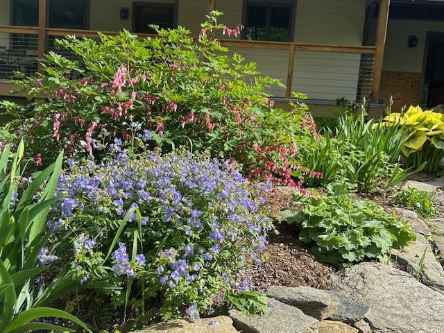 266 Ursa Ridge Road Brattleboro, VT 05301 - Photo 48 of 60