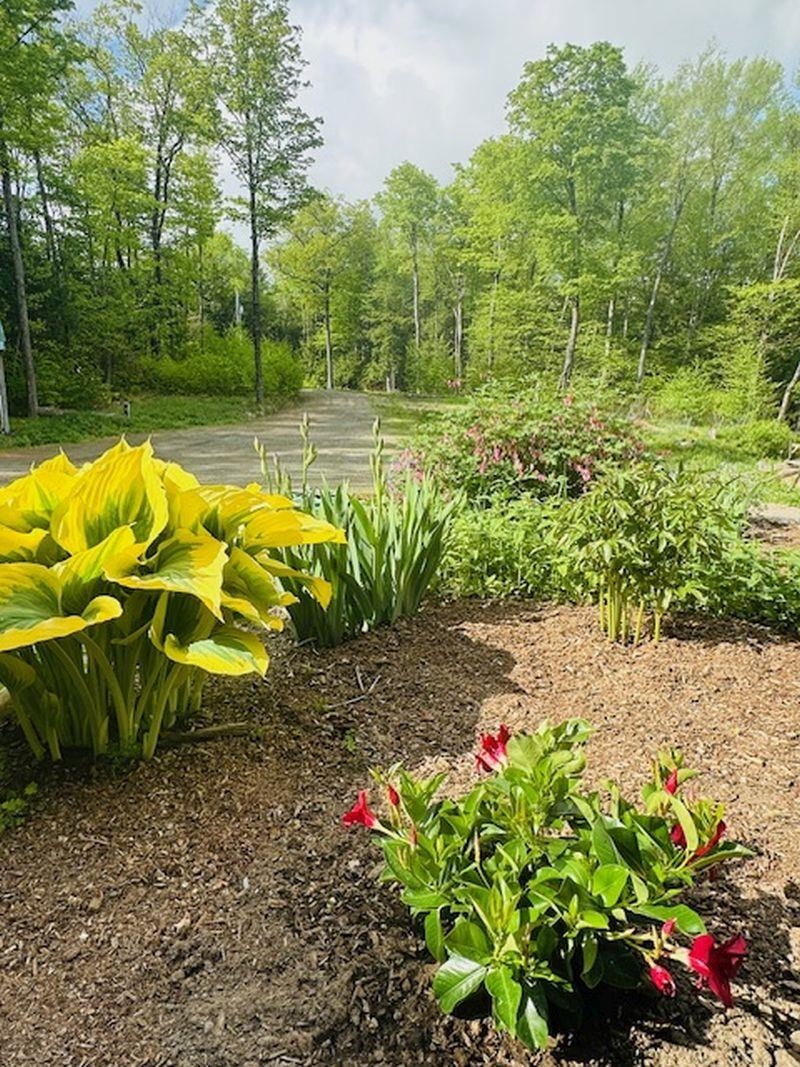 266 Ursa Ridge Road Brattleboro, VT 05301 - Photo 49 of 60