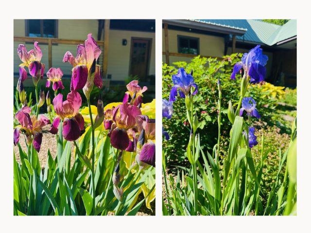 266 Ursa Ridge Road Brattleboro, VT 05301 - Photo 50 of 60