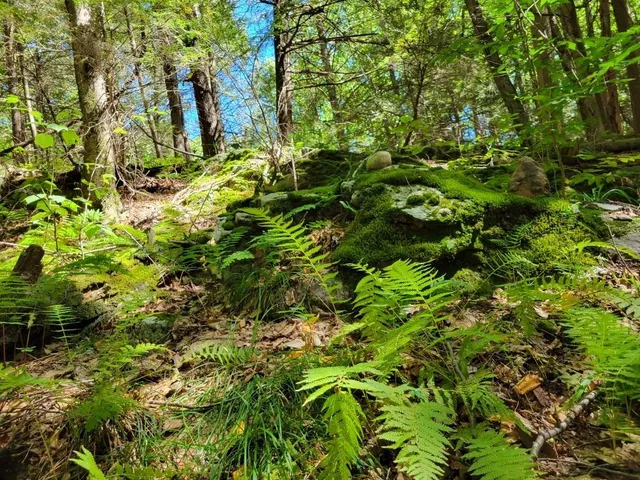 $895,000 | 266 Ursa Ridge Road, Brattleboro, VT 05301