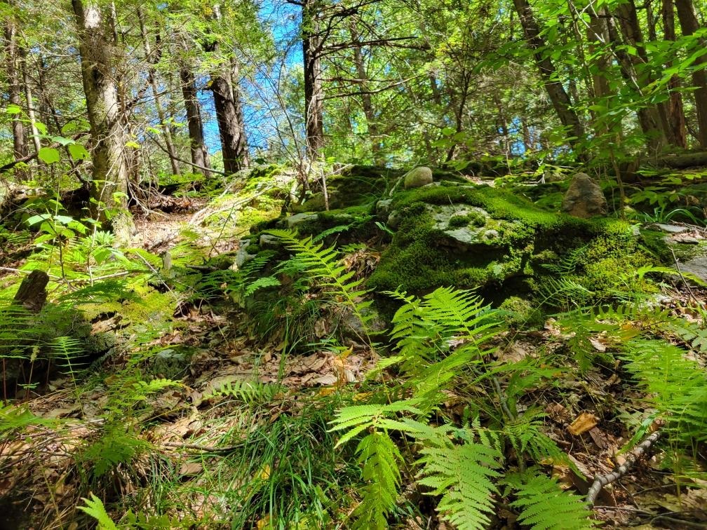 266 Ursa Ridge Road Brattleboro, VT 05301 - Photo 56 of 60