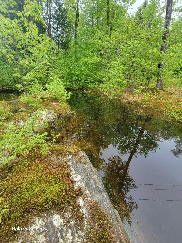 266 Ursa Ridge Road Brattleboro, VT 05301 - Photo 57 of 60