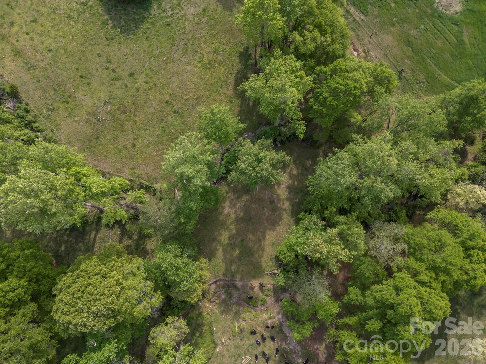 504 Old Henrietta Road Forest City, NC 28043 - Photo 14 of 46