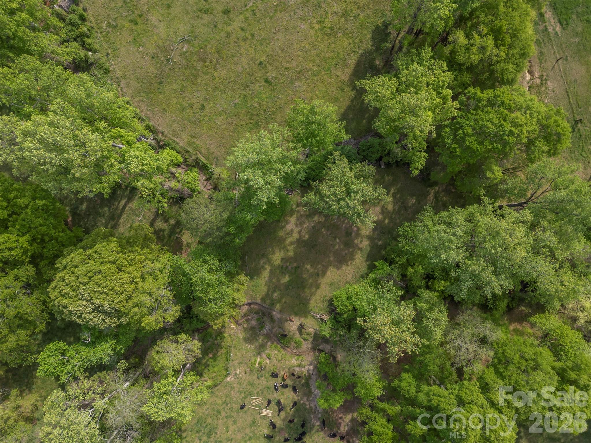 504 Old Henrietta Road Forest City, NC 28043 - Photo 16 of 46