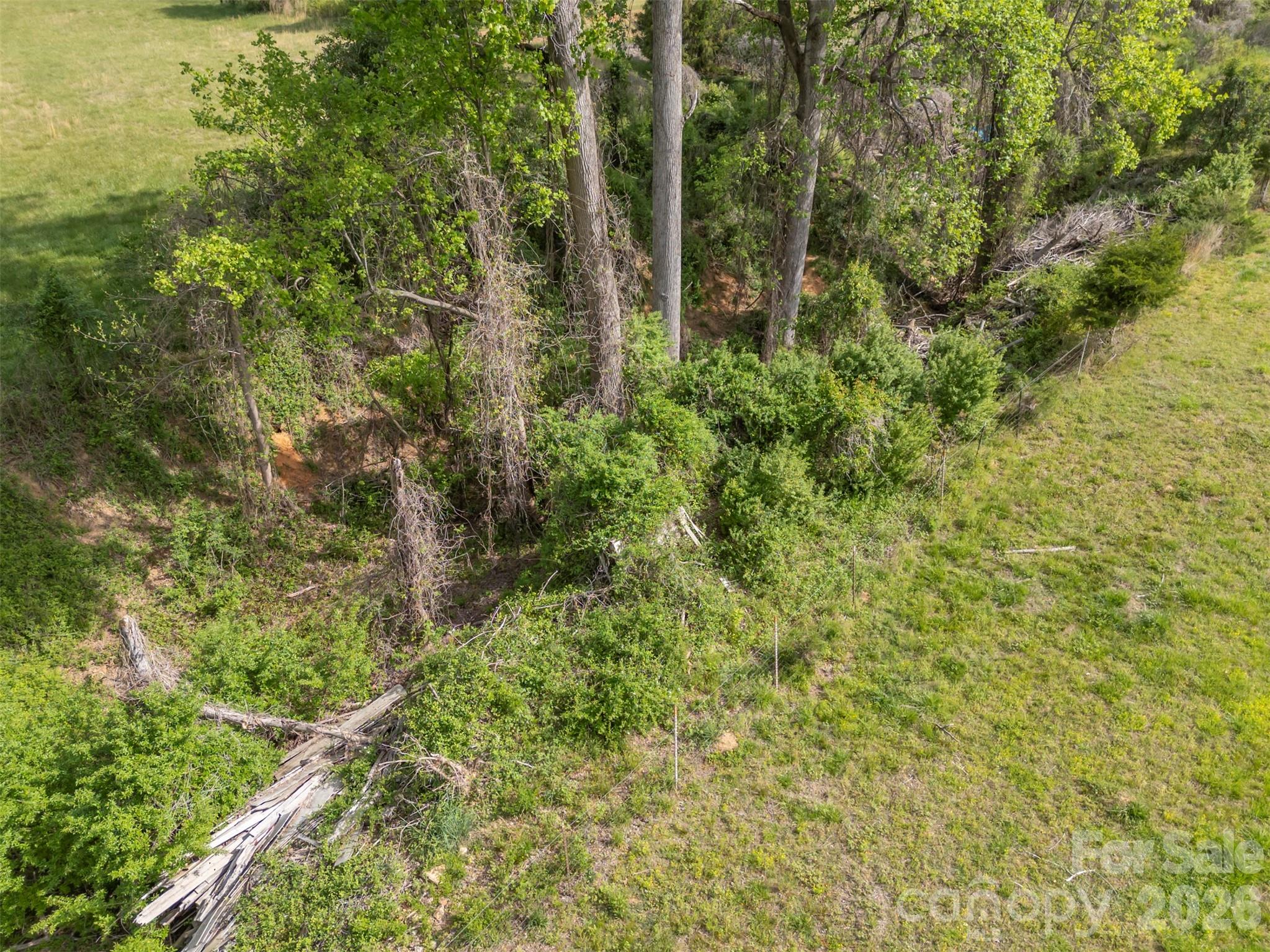 504 Old Henrietta Road Forest City, NC 28043 - Photo 7 of 46