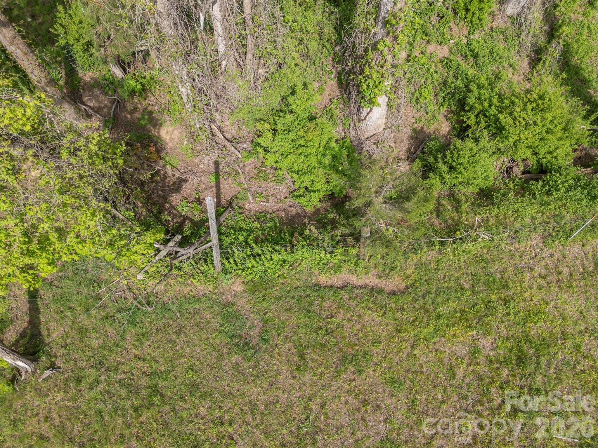 504 Old Henrietta Road Forest City, NC 28043 - Photo 9 of 46