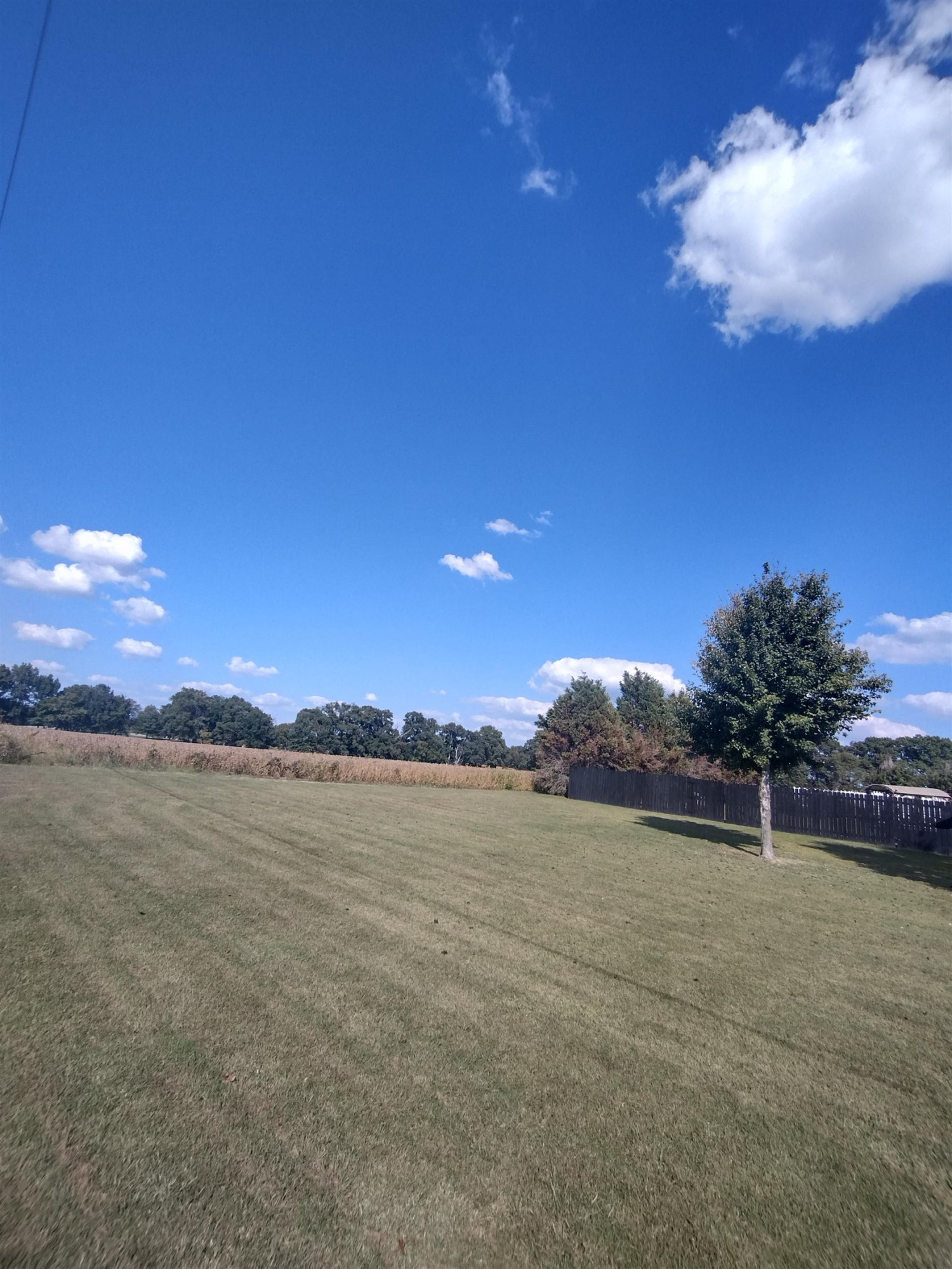 360 Parham Road Martin, TN 38237 - Photo 6 of 32 a view of an ocean and beach