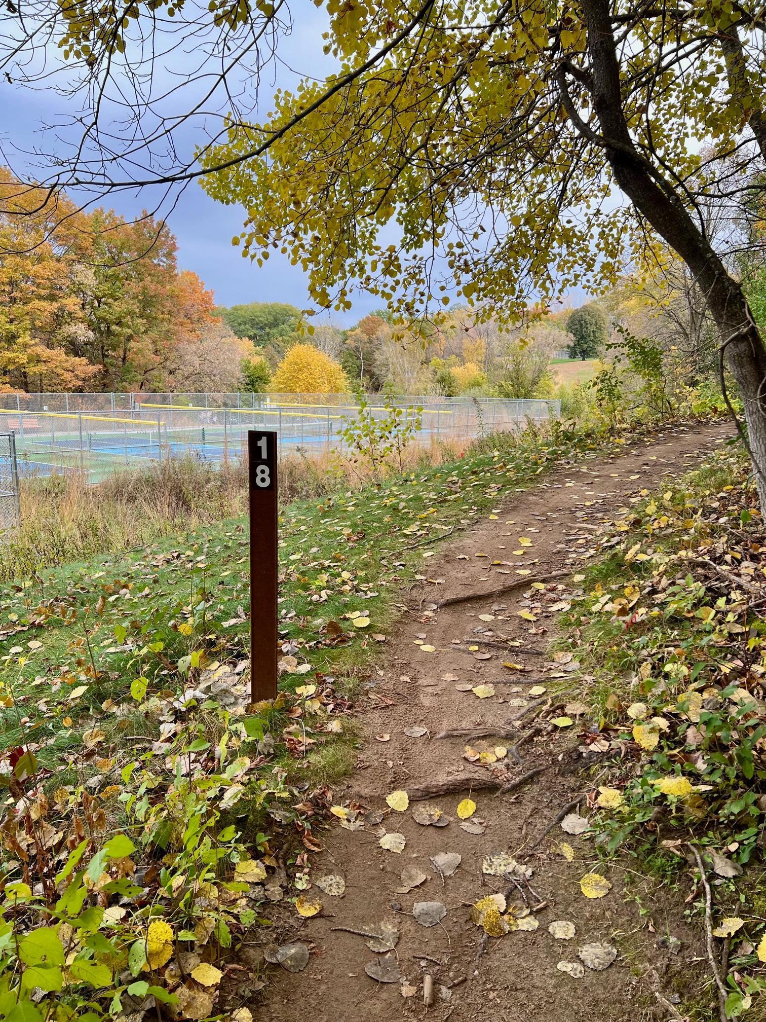 11832 Bren Road Hopkins, MN 55343 - Photo 45 of 47