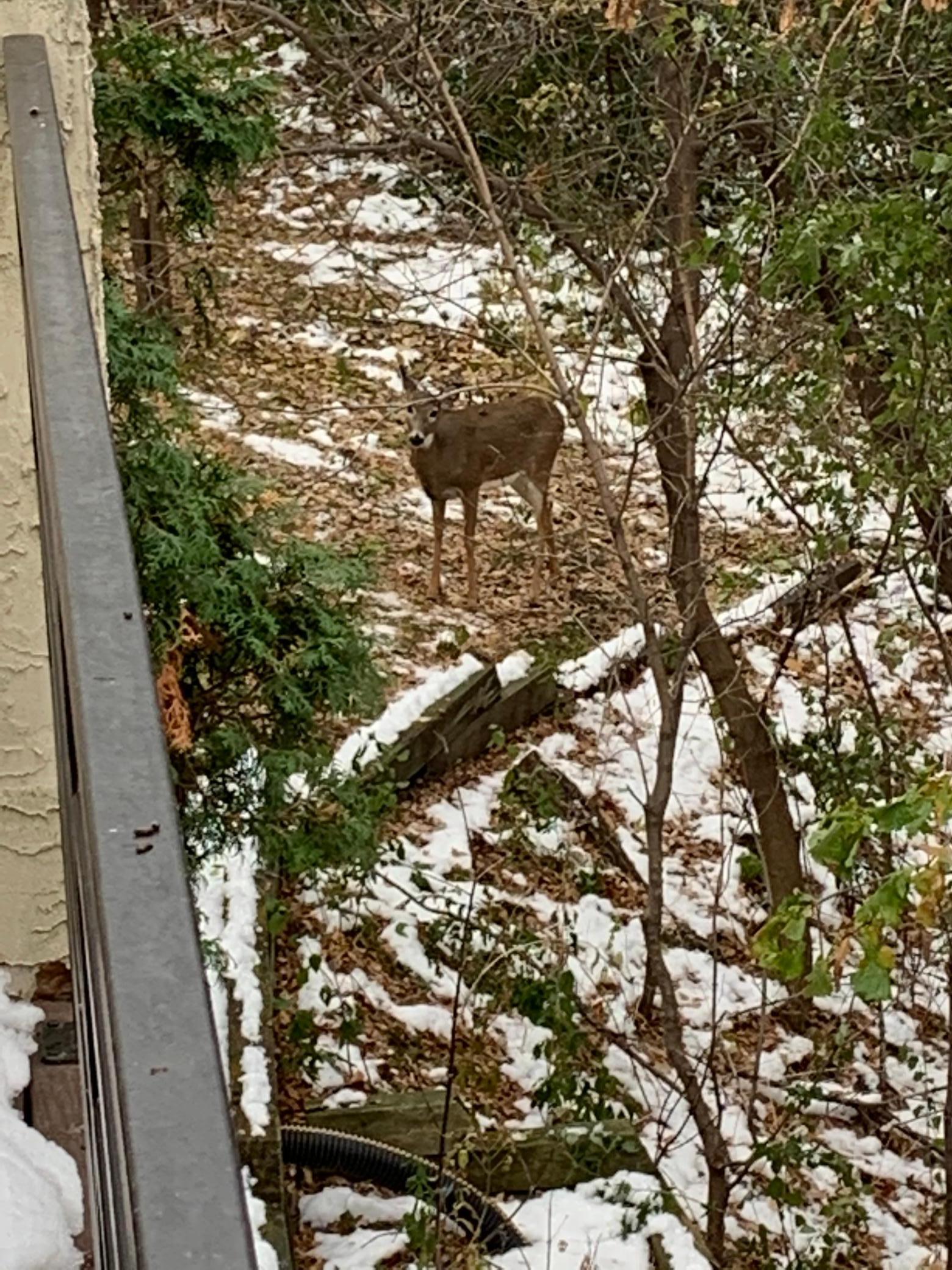 11832 Bren Road Hopkins, MN 55343 - Photo 47 of 47